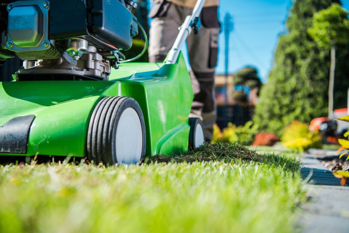 Gartentechnik – Rasenmäher und Pflegegeräte